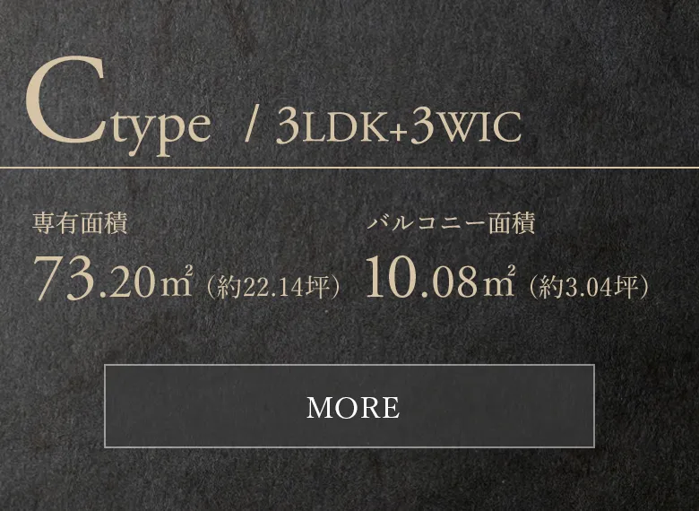 Ctype間取り